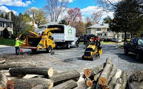 Best Tree Mulching  in Biola, CA
